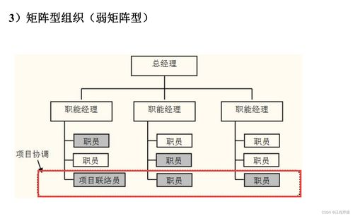 赛事组织中的三种矩阵组织结构图及其应用场景解析——来自CSDN的实践经验