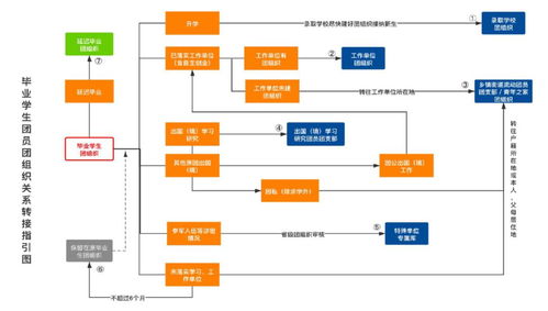 组织关系一张图 竞技赛场权力的迷宫与显影