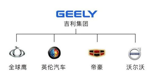 组织架构图中的虚线关系及其在赛事组织中的应用