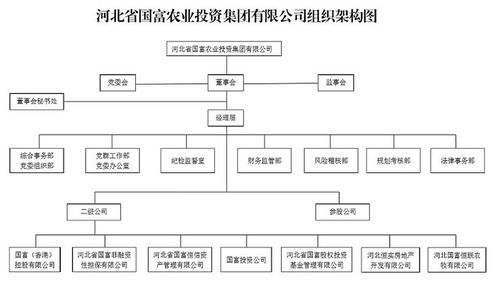 国富投资集團賽事組織協同下的組織機構圖解析